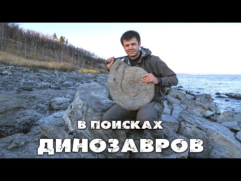 Видео: НАХОДКИ бьют ВСЕ РЕКОРДЫ | Нашел кости ИХТИОЗАВРА и огромный АММОНИТ | Поиск окаменелостей