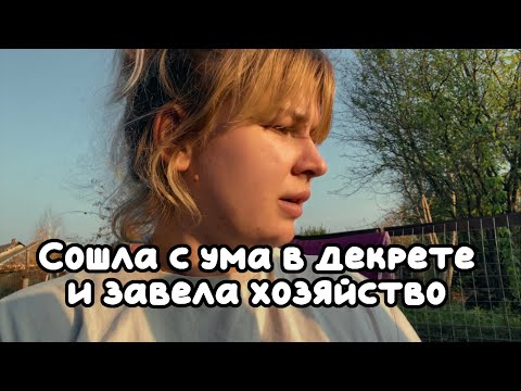 Видео: #1 Завела хозяйство в декрете Какие планы