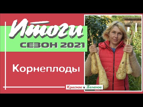 Видео: Корнеплоды 2021. Морковь, пастернак, брюква и другие.  Итоги сезона