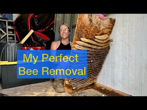 Видео: Не пытайтесь повторить это дома