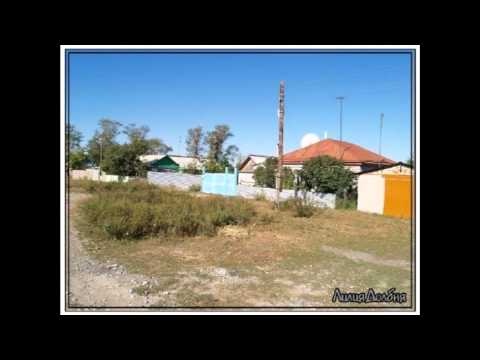 Видео: САДЧИКОВКА
