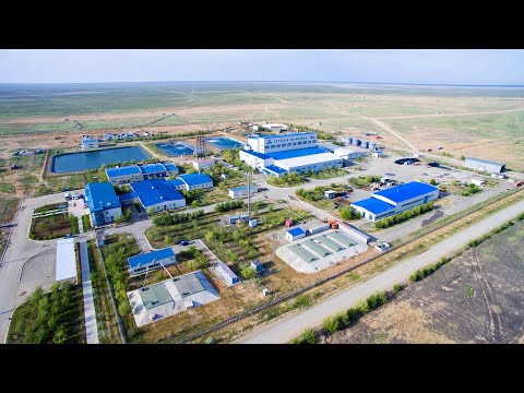 Видео: 10-летие ТОО «ДП «ОРТАЛЫК»