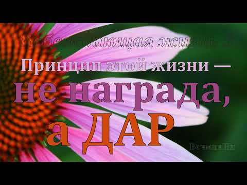 Видео: "Принцип этой жизни — не награда, а дар" Вочман Ни