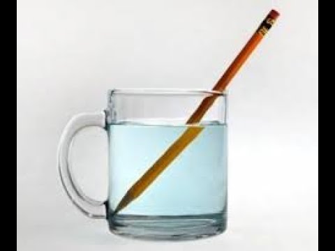 Видео: Урок 8