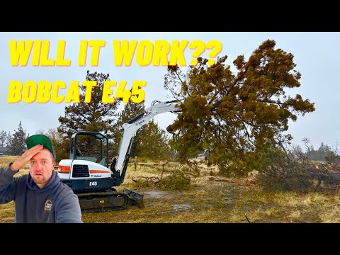 Видео: БУДЕТ ЛИ НАШ ОТРЕМОНТИРОВАННЫЙ СПЕЦИАЛЬНЫЙ АУКЦИОННЫЙ МАШИНА Bobcat УДАЛЯТЬ БОЛЬШИЕ ДЕРЕВЬЯ?? Всё...