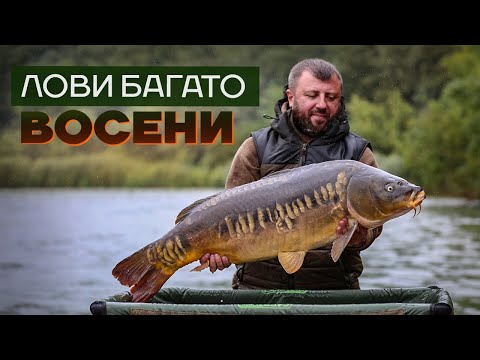 Видео: Як ловити КОРОПА ВОСЕНИ? Не роби помилок коропятника - лови багато коропа. Осінній карпфішинг