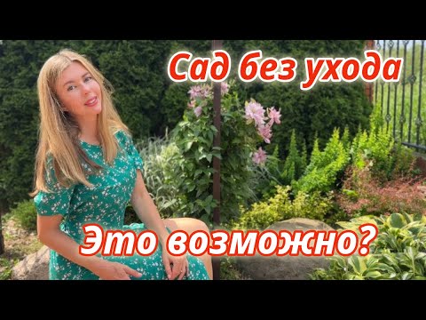 Видео: МАЛОУХОДНЫЙ САД С НУЛЯ: от каких растений откажусь, а какие возьму с собой