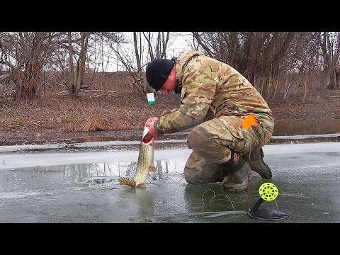 Видео: ЖЕРЛИЦЫ. РЫБАЛКА НА ЩУКУ. ОСТАВИЛИ ЖЕРЛИЦЫ НА НОЧЬ. Зимняя рыбалка. Последний лёд.