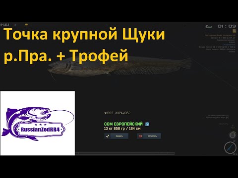 Видео: Точка с крупной щукой. р Пра +Трофей.