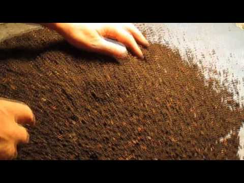 Видео: Когда лучше менять субстрат в ящике с Дендрой .