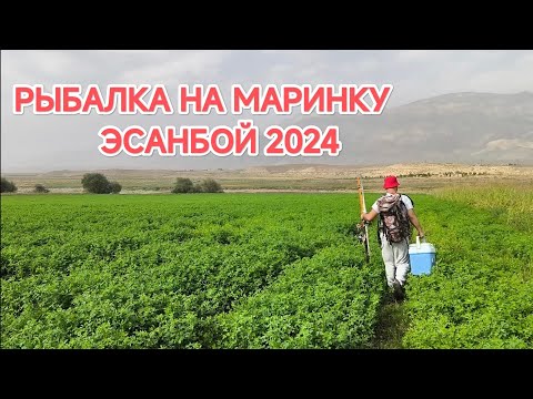 Видео: РЫБАЛКА НА МАРИНКУ (ЭСАНБОЙ 2024)