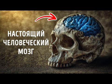 Видео: Археологические находки, которые переопределили наше истинное лицо