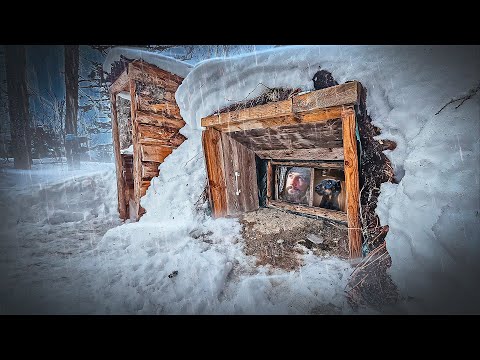 Видео: УКРЫТИЕ В ДОМЕ ПОД ЗЕМЛЕЙ - ШТОРМОВОЙ ВЕТЕР В ЛЕСУ | Улучшаю ЗЕМЛЯНКУ