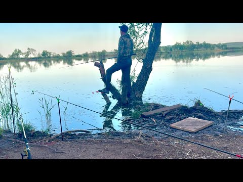 Видео: КАРП НА УДОЧКУ И ДОНКИ! РЫБАЛКА НА ОЗЕРЕ КАЙНАР!