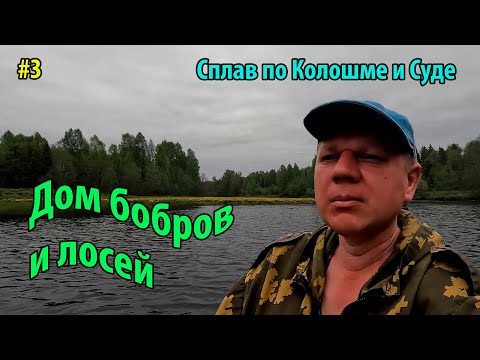 Видео: #3 Сплав по Колошме и Суде 2025