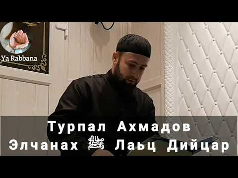 Видео: Турпал Ахмадов - Элчанах ﷺ Лаьцна Хаза Дийцар Хьехам ☝🏻