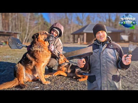 Видео: Фильм о жизни семьи в окружении леса и домашних животных. Короткие дни не дают выполнить планы.