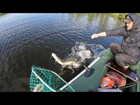 Видео: С КРУЖКАМИ ЗА ЩУКОЙ / WITH MUGS FOR PIKE