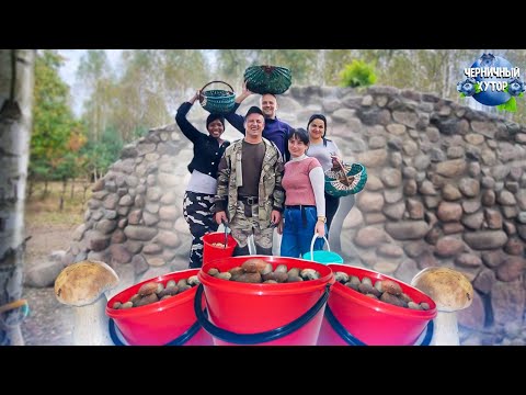 Видео: Проект погреб подходит к завершению. Грибная пора каждый день собирает на хуторе новых гостей.