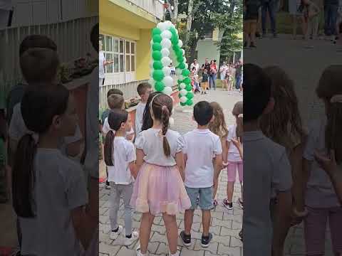 Видео: Зелен флаг 3