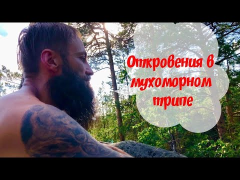 Видео: Мухоморный 🍄Трип Фиксирую на камеру. Очутился между двух миров🌍 Реальным и Мухоморным🙏