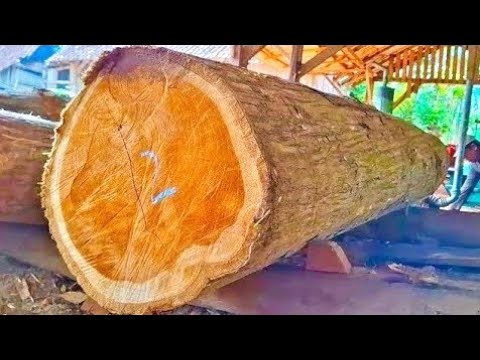 Видео: Легендарная роскошь тикового волокна, прочность и красота в распиловке.