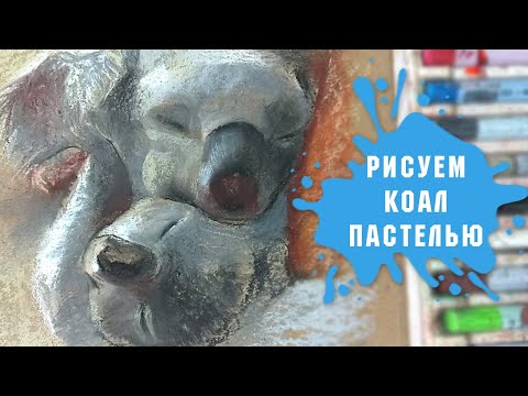 Видео: Урок - Рисуем Пастелью Милых Коал За 1 Час!