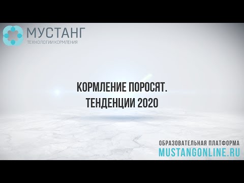 Видео: Кормление поросят. Тенденции 2020