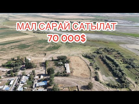 Видео: МАЛ САРАЙ САТЫЛАТ 70 000$