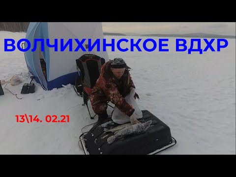 Видео: \\\ВОЛЧИХА\\\ЖЕРЛИЦЫ\\\ ЩУКА\\\ НЕМНОГО О ШУРИКЕ\\\