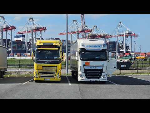 Видео: За първи път се наложи да направя фитосанитарен контрол | Denis Kadirow TruckVloger