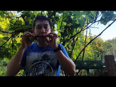 Видео: Блюз на двух основных нотах Урок № 22.How to play the blues on the harmonica. Part 2