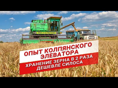 Видео: Какой способ хранения зерна самый выгодный?| Напольное хранение зерна | Колпянский элеватор