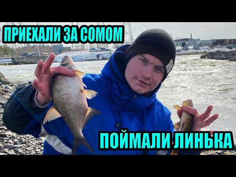 Видео: РЫБАЛКА НА ФИДЕР И ДОНКУ. СБРОСЫ 500 МВт. ЛИНЬ, КАРАСЬ, ЛЕЩ. ФИДЕР НА РЕФТИНСКОМ ВОДОХРАНИЛИЩЕ