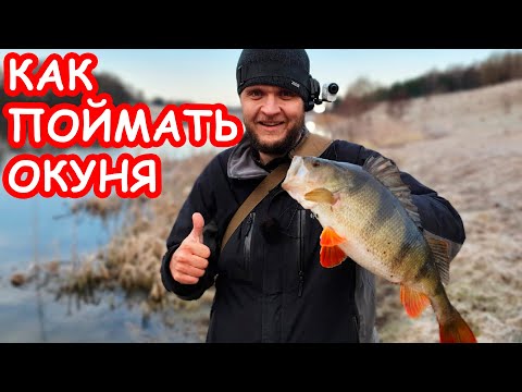 Видео: КАК ЛОВИТЬ ОКУНЯ. РЫБАЛКА НА СПИННИНГ. ПРИМАНКИ НА ОКУНЯ