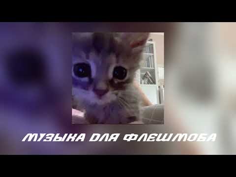Видео: Музыка для флешмоба||песни из тт😛
