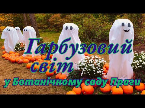 Видео: Гарбузовий світ у Празі 🎃 Осіння прогулянка в чарівному саду | Relax Autumn Ambience