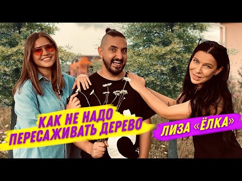 Видео: СКРЕПКА: Как пересадить дерево | Борьба с сорняками | Cерия 2
