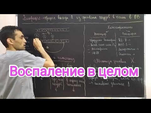 Видео: Воспаление. Общая характеристика. Inflammation general characteristic.