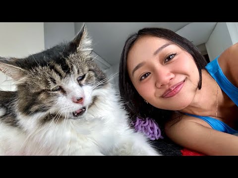 Видео: Никто не хотел этого кота, поэтому я его усыновил.