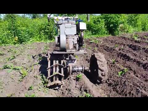 Видео: 🔥Окучка картошки по новому! 🔥МОТОБЛОК КАК МОТОСАПА! 😲