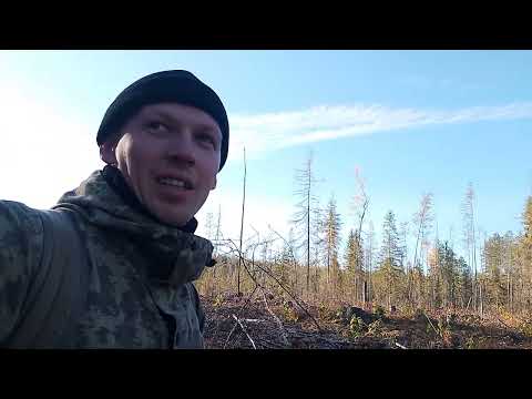 Видео: Верх по таёжной реке с изучением новых мест.Первые заморозки 