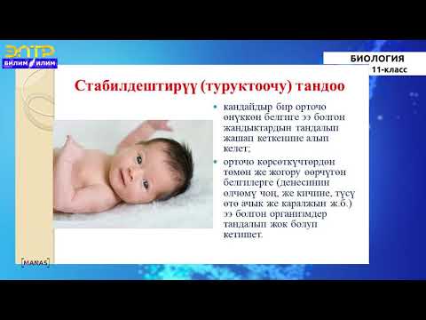 Видео: 11-класс | Биология | Түр-эволюциянын бирдиги катары. Түр жана анын критерийлери.