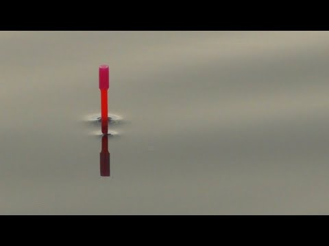 Видео: Секретная  насадка по холодной воде! Для поплавка, фидера,флета и пружин!