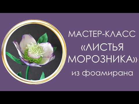 Видео: 🌿ЛИСТЬЯ МОРОЗНИКА из фоамирана (Мастер-Класс 2020)