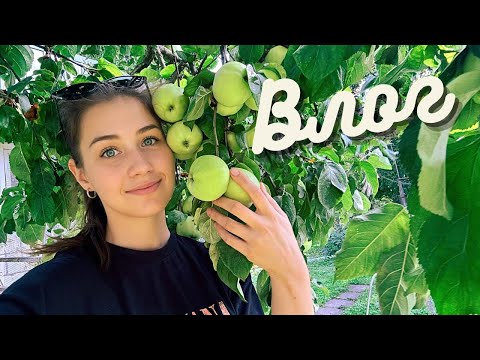 Видео: Дачный день 🍏 Замок Лайтсе 👑 Что с ценами на мороженое?