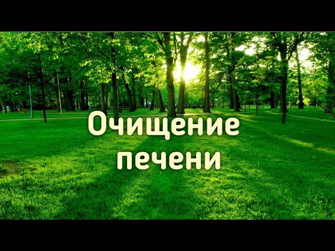 Видео: Весенний цигун. Активируем и очищаем меридианы печени и желчного пузыря. Стихия дерева.