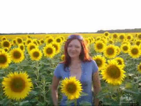 Видео: Душанбинцы, Ул. Маяковского 79-2, маг. Птица 79, 77 и 77-1