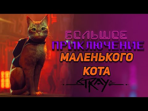 Видео: Философия и суть сюжета STRAY (перезалив)