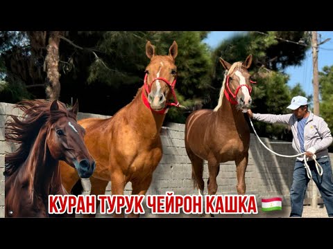 Видео: 28 сентября 2024 г.